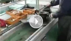 辰力手拉葫蘆車間，手拉葫蘆流水作業(yè)中